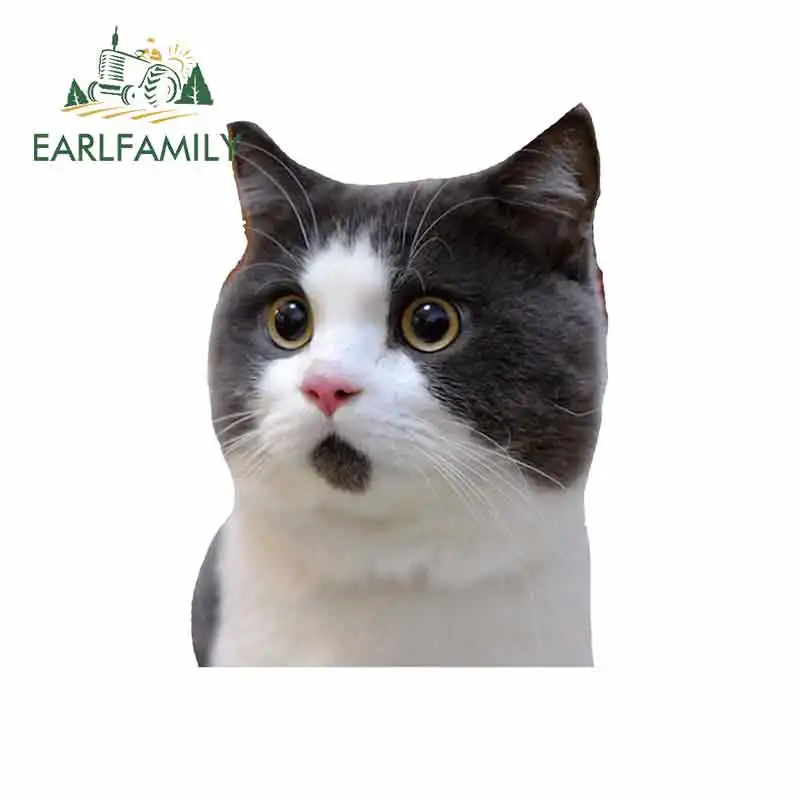 Стикеры EARLFAMILY виниловые 13 см х 9 8 с принтом на заказ | Автомобили и мотоциклы