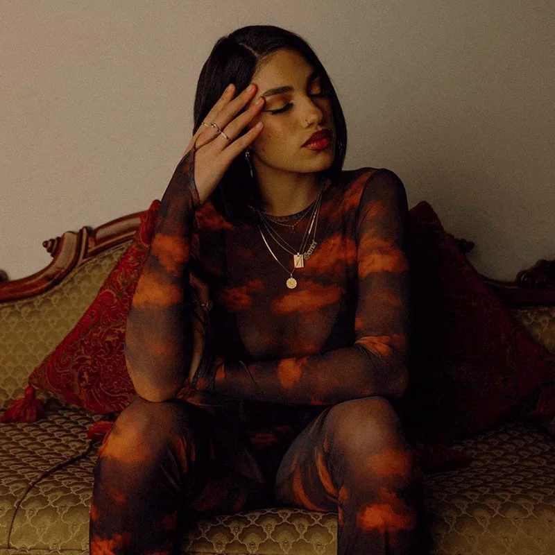 

BIIKPIIK Women Print Mesh Two Piece Sets Casual Lounge Wear Long Sleeve Top+Pants Matching Set See Through Basic Female Suits