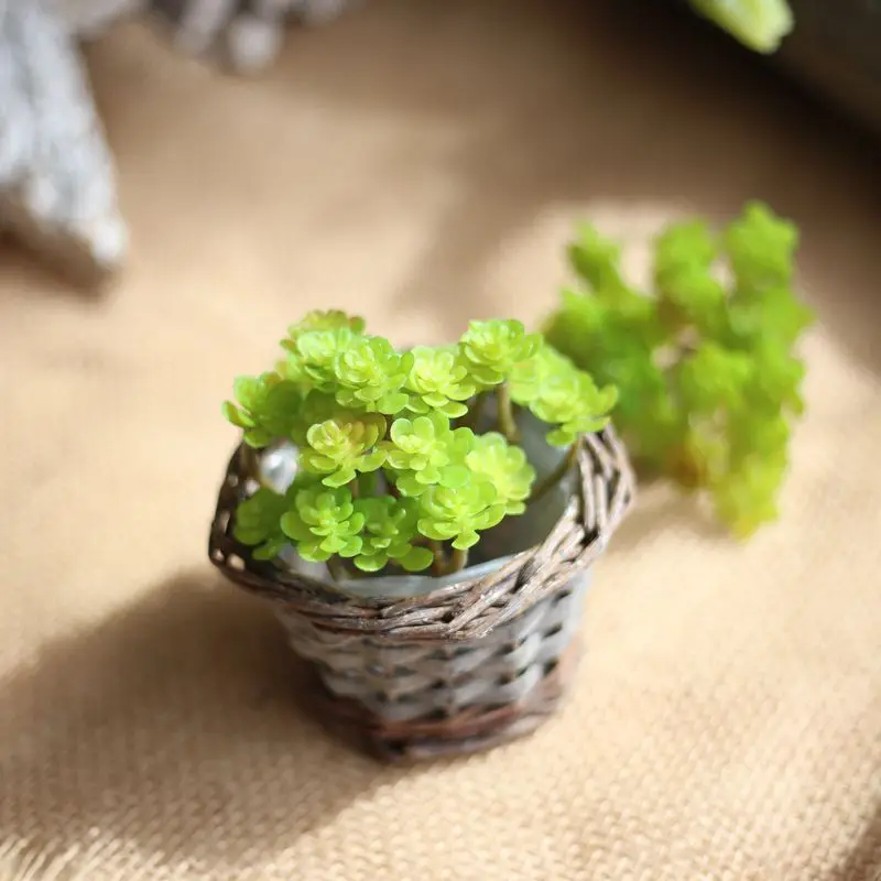 Искусственные 24 цветка лотоса суккуленты сказочные пластиковые маленькие