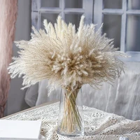 3050pcs natural pampas grass dried flowers bunch brown bouquet boho decoration home bedroom living room christmas decorations