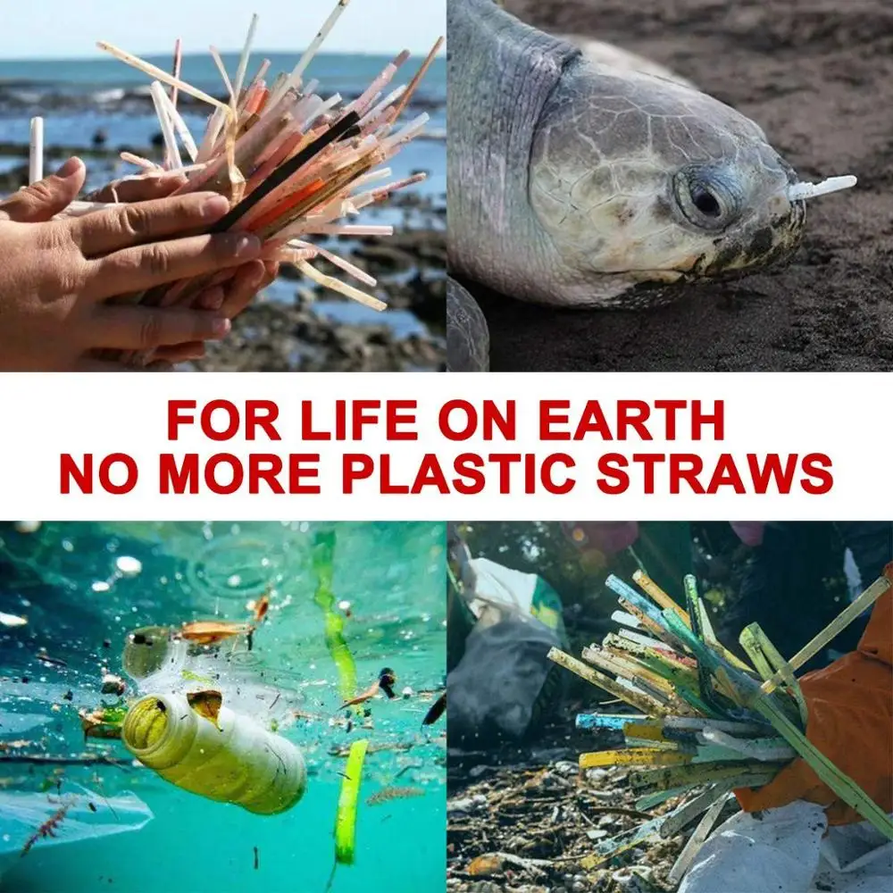 FUHAIHE портативная телескопическая Питьевая солома из нержавеющей стали для