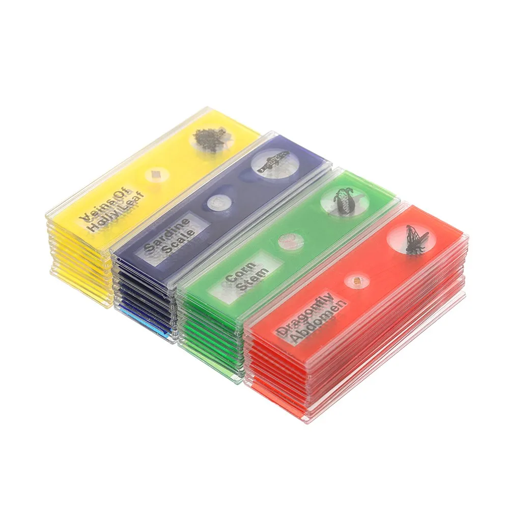 48 шт./комплект детские пластиковые этикетки для образцов насекомых и растений |
