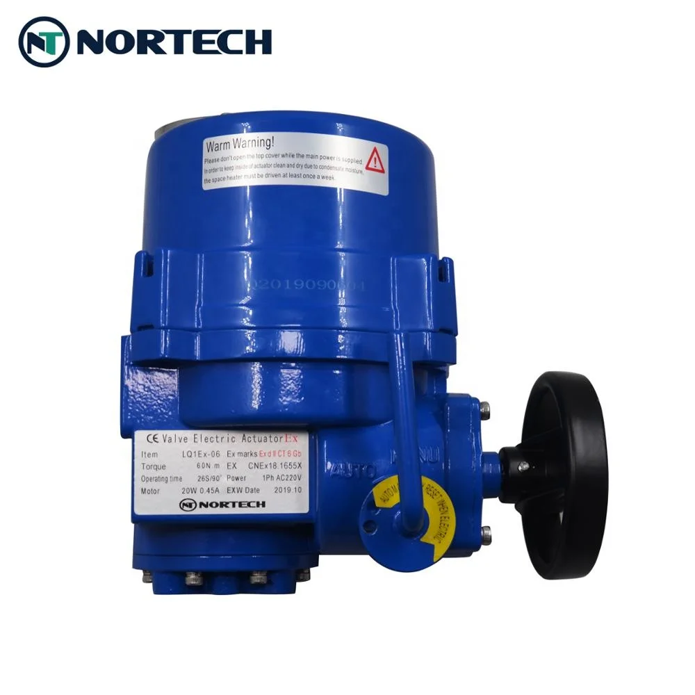 

electric actuator for valves