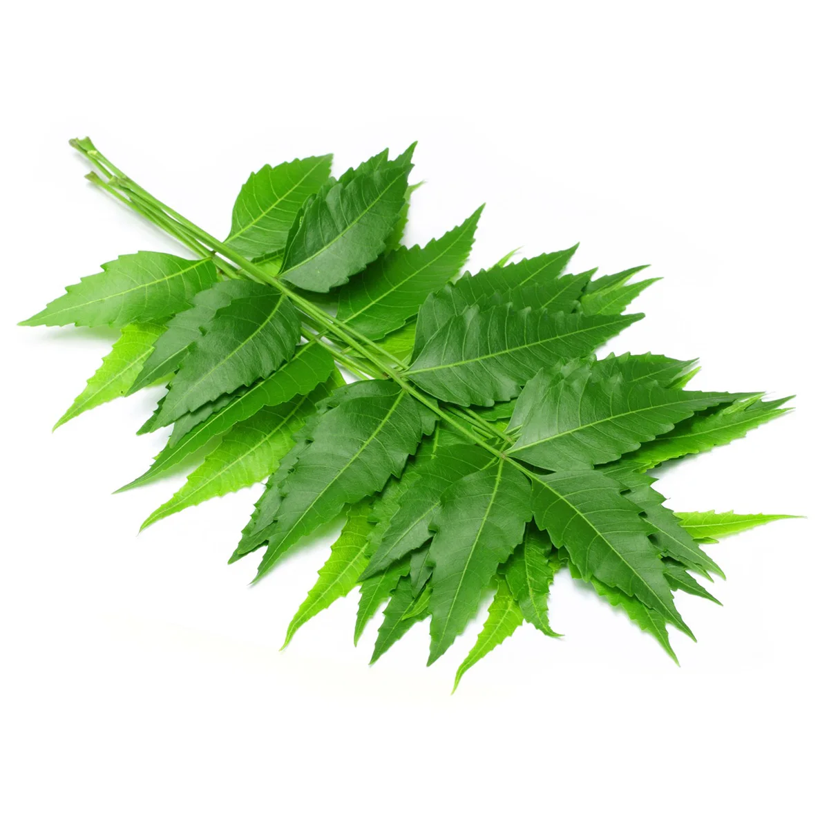 Купить 2 получить 1 AKARZ лучший набор meal Neem эфирное масло ароматерапия для кожи лица