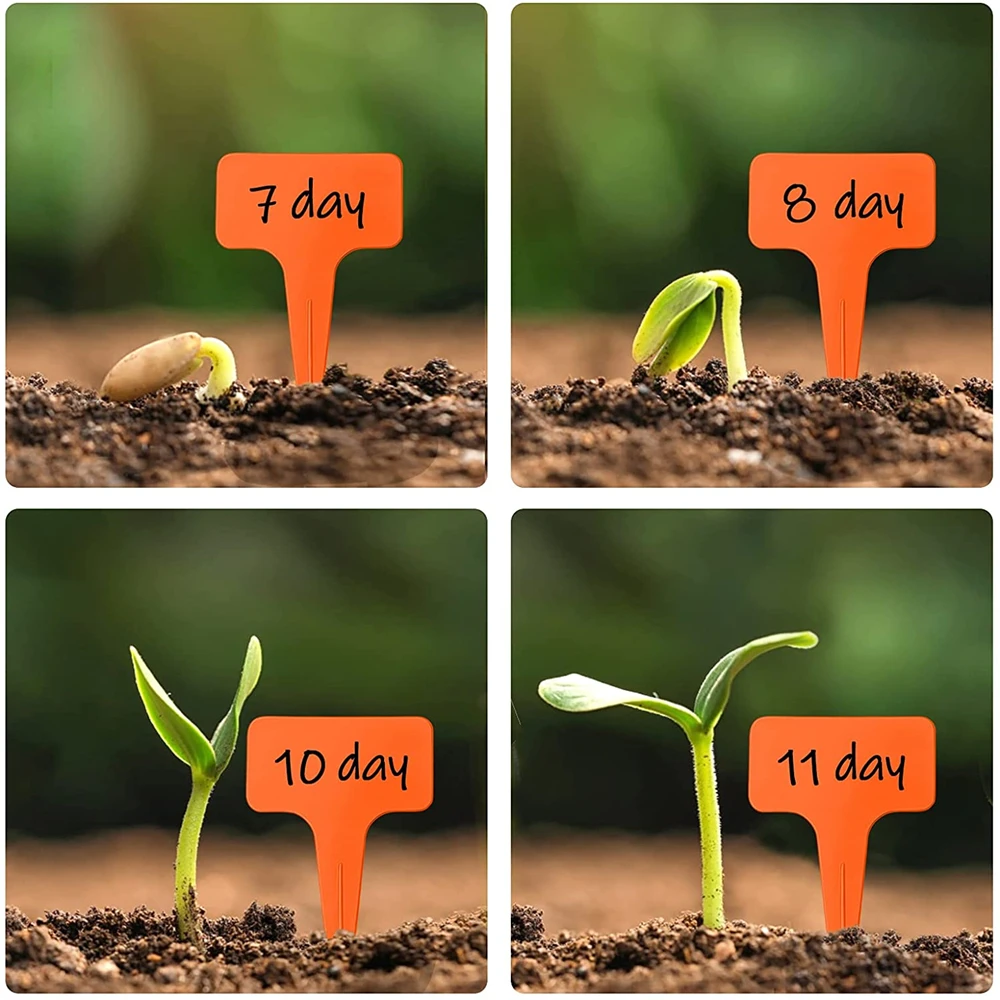 30 шт. Т-образные пластиковые бирки для растений 7-10 см | Дом и сад