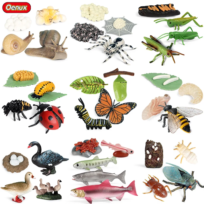 

Экшн-фигурки Oenux, Имитация животных, цикл роста, улитки, лосось, пчела, бабочка, ростки бобов, модель, обучающая симпатичная детская игрушка