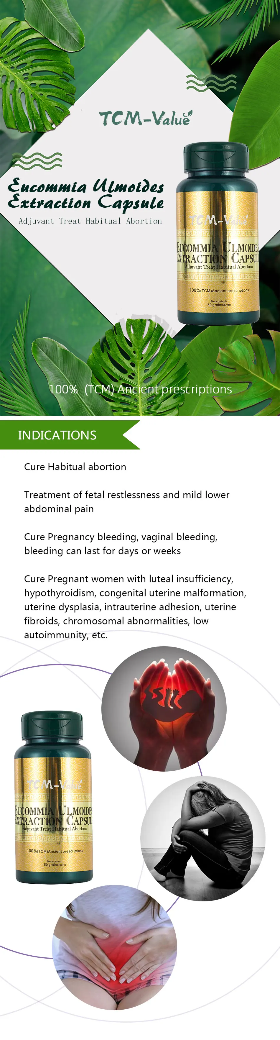 TCM-Value Eucommia Ulmoides Extraction Capsule, Adjuvant Treat Habitual Abortion, Cure Habitual abortion, uterine fibroids 50pcs