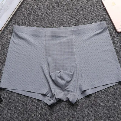 2020 Мужское нижнее белье боксеры сетка ледяной шелк быстросохнущие дышащие трусы