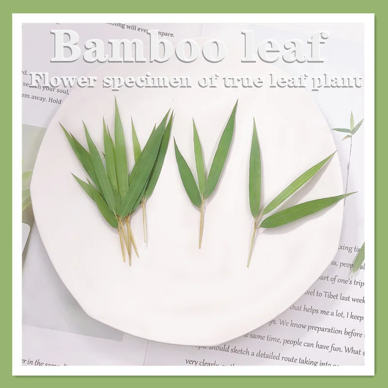 Бамбуковый лист Настоящий образец растения Обучение Сделай сам Свеча Ручное падение клея Мобильный телефон Чехол Фоторамка Закладка.