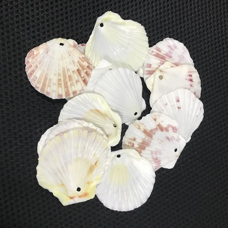 100 шт./пакет морские раковины Schelpen Coquillage Conchas Shell для украшения дома Вавилон морской домашний Морской Декор 1,5 мм гребешок