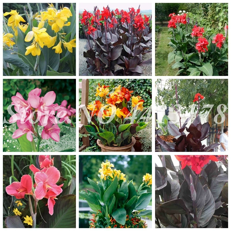 100 искусственный Декор Canna Lily | Дом и сад