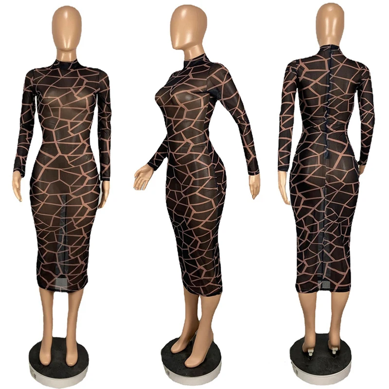 

Print Party Dress Women Long Sleeve Sheath Slim Transparent Sheer Mesh Dress Elegant Vintage Night Club Sexy Dress