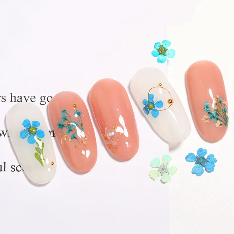 12 сеток/коробка модные японские сухие цветочные украшения для ногтей