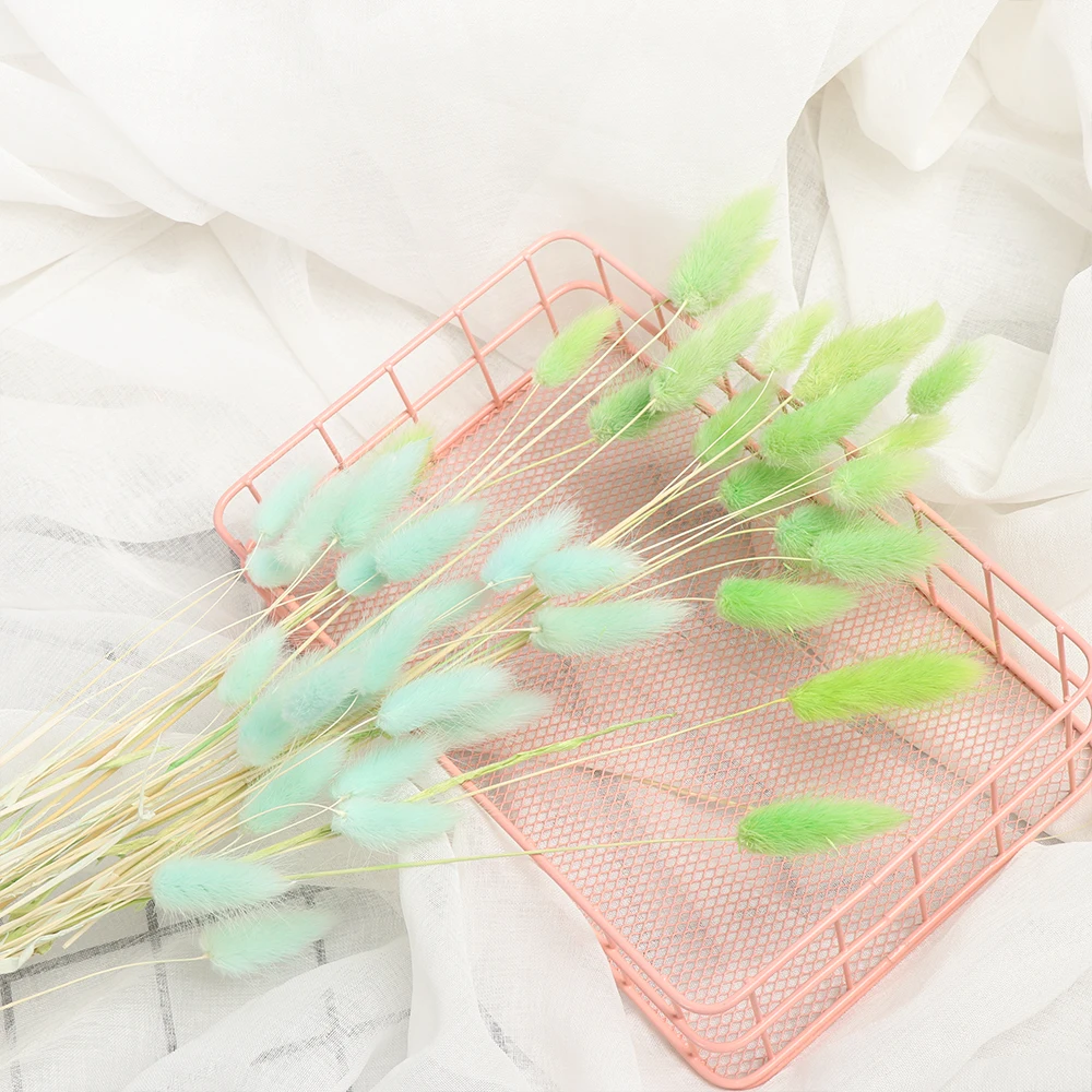 20 шт. сушеные цветы из натурального материала для украшения дома|Украшения