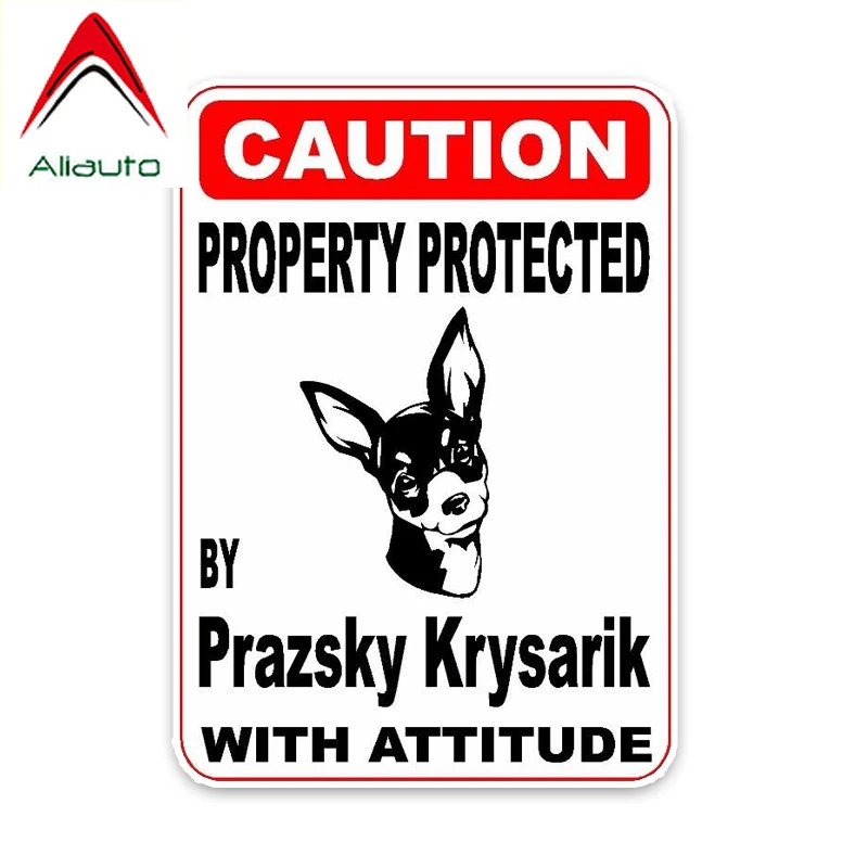 

Автомобильная наклейка из ПВХ с защитой празского крисарика, 14 х10 см
