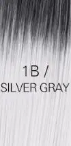 FT1B SLIVER GREY Blice 18-26 дюймов Синтетические волосы для наращивания 1 шт./упак. прядь Yaki прямая завивка Омбре цвет Kanekalon волосы красный серый - Цвет: FT1B SLIVER GREY