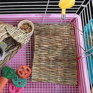 Healthy Pet Chew Toy Easy to Clean Straw Guinea Pig Rabbit Hamster Pet Bed  Pet Bed    Pet Mat