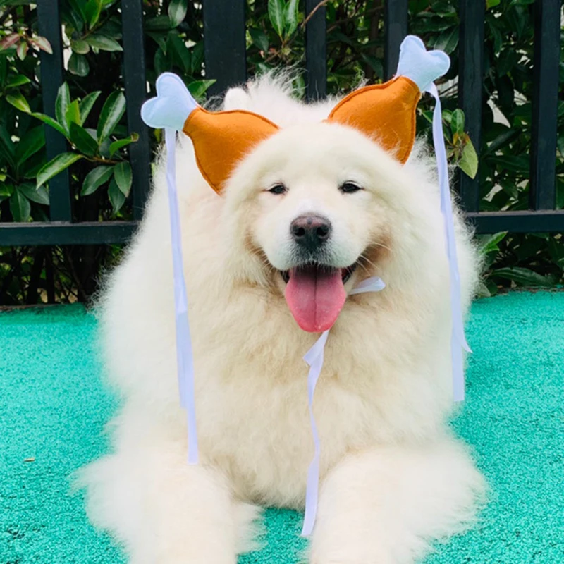 Повязка на голову с куриным барабаном обруч для ног собаки вечевечерние головной