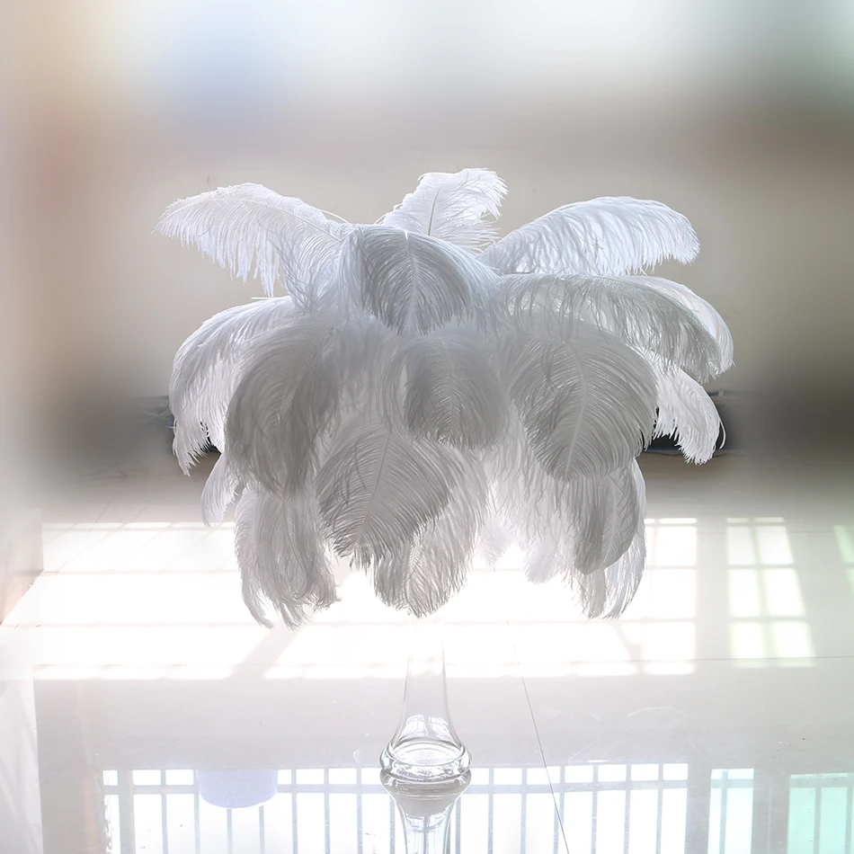 

10pcs Pure White Fluffy Ostrich Feather Home Wedding Decoration Long 16-18 inches Ostrich Plumes Party Accessory Craft feathers