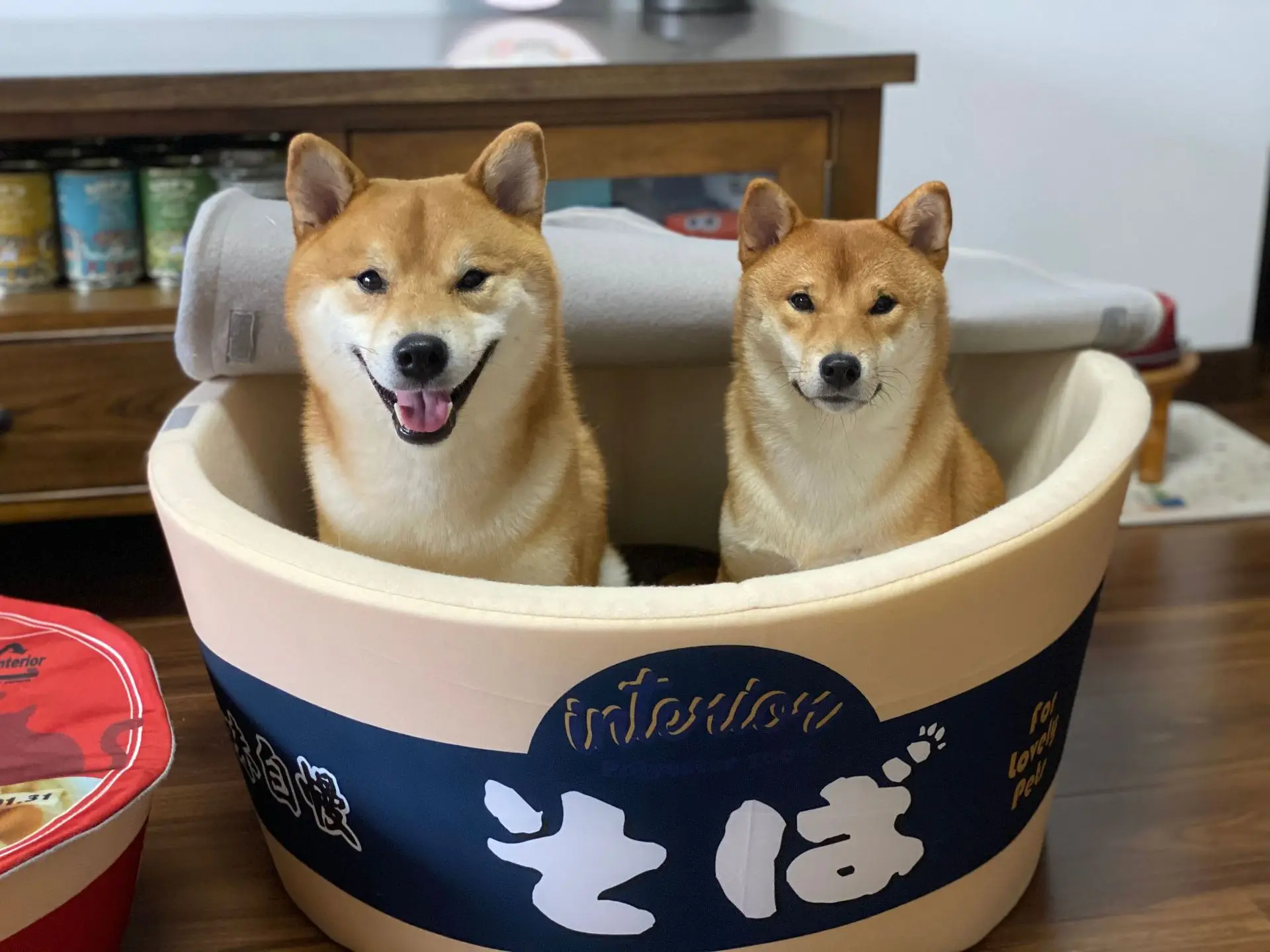 

Japanese instant noodle doghouse Shiba Inu net red soft instant noodle cat nest cushion udon cup noodle nest INS wind pet bed