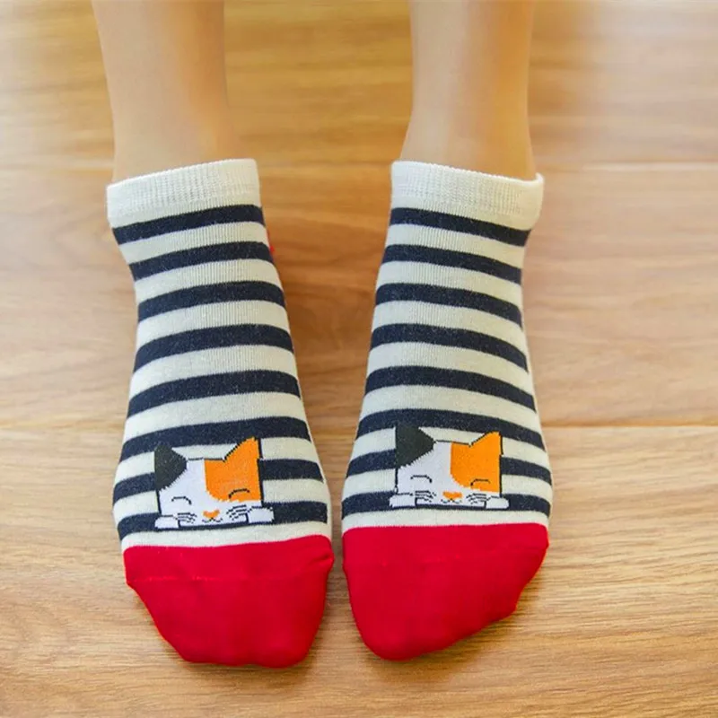 5 пар/лот женские носки с животными из мультфильма кот &quot Джокер хлопковые