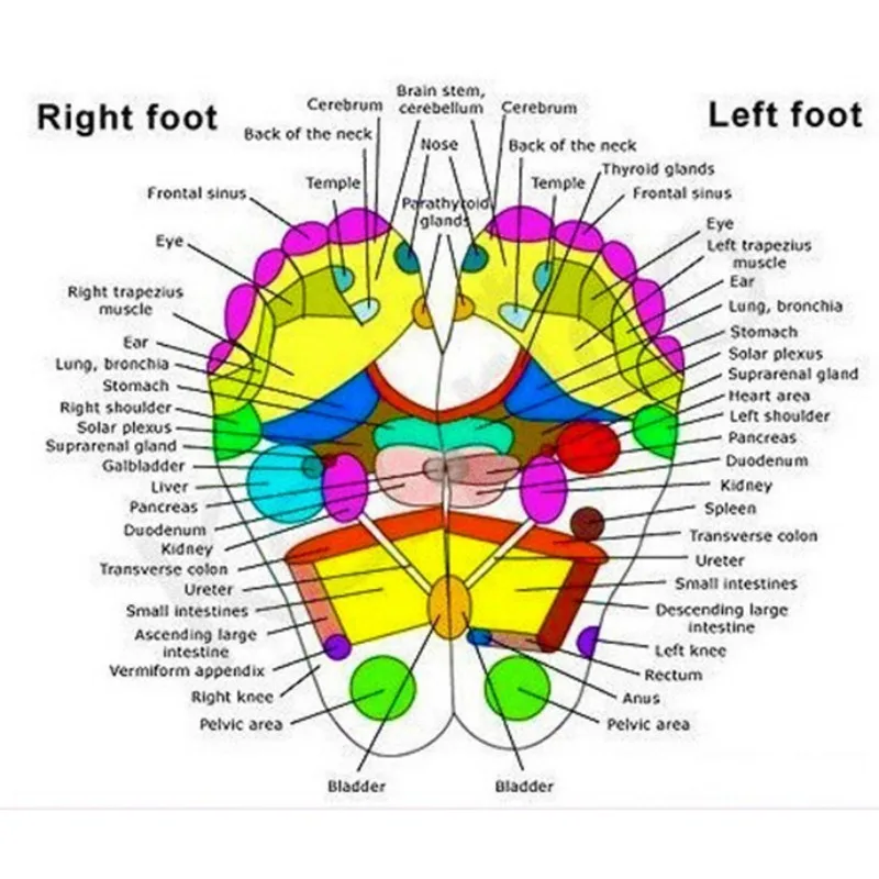 

Foot Patch Wormwood Improve Sleep Detox Foot Patch