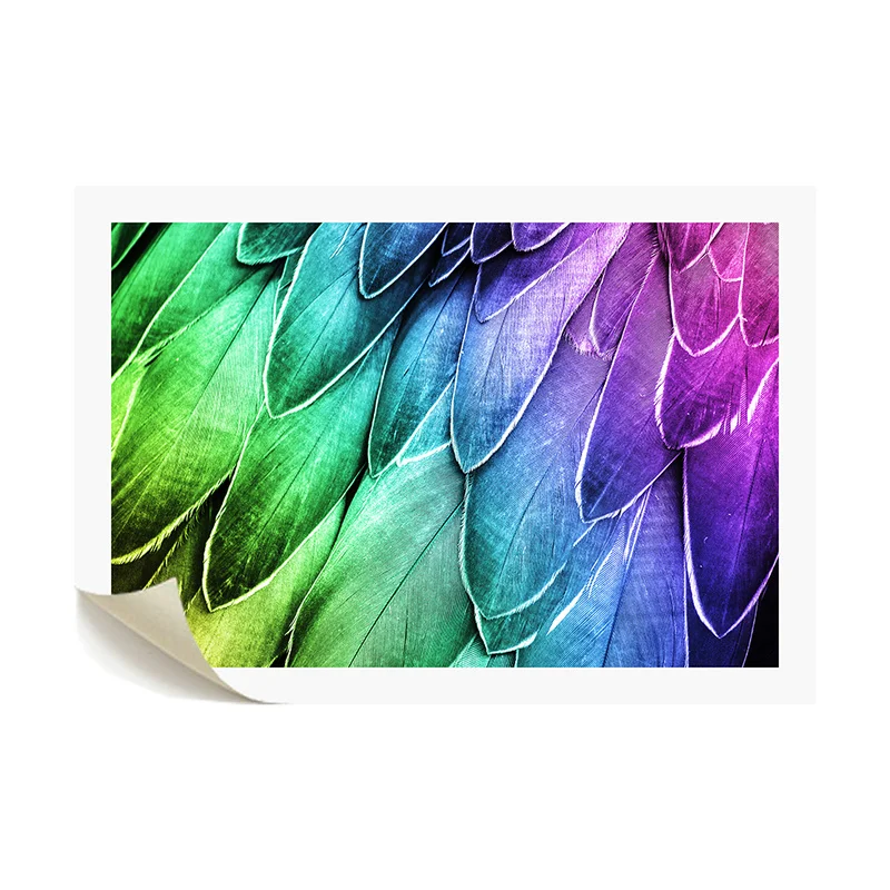 

Animal Canvas Painting Colorful Feather Wall Art Poster 1 Piece Aniaml Feather HD Print Set Framed for Home Decor