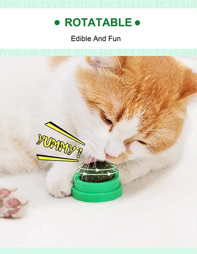 Pet Cat Натуральная кошачья мята для лакомства украшения дома на стене игрушки