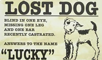 lucky lost three legged dog tin sign funny metal pet poster home bedroom wall decor 20x30cm plaque