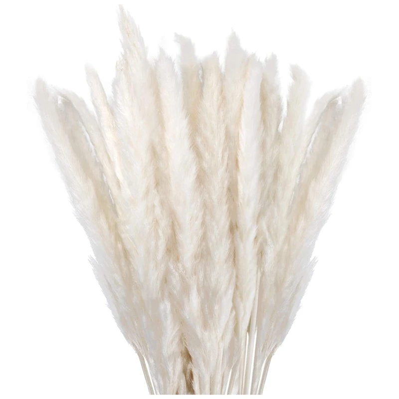 

Сушеные пампасы Трава Декор маленький пушистый 30 шт., 45 см Натуральные сушеные цветы белые для вазы, композиция букет цветов