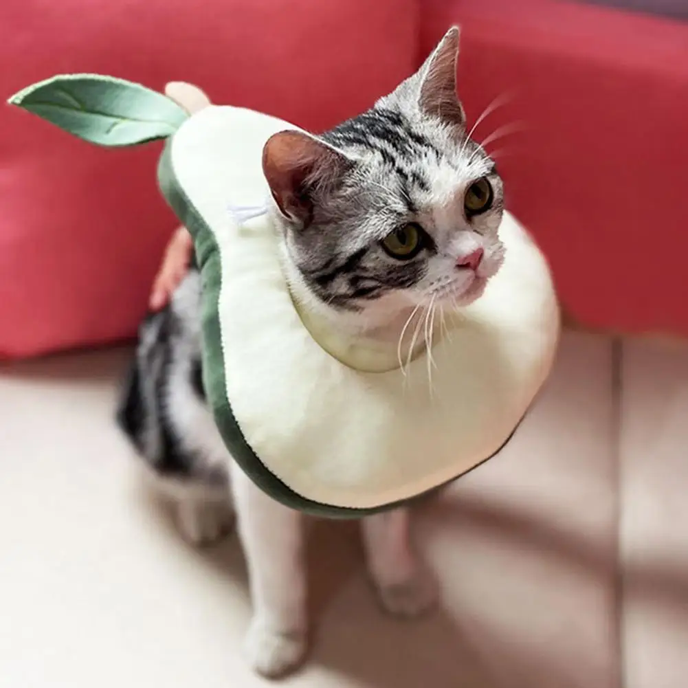 

Kitten Cone Wear-resistant Soft Flexible Apple Shaped Cat Neck Cone for Home