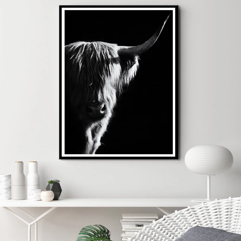 Черный и белый Highland корова крупного рогатого скота холст картины Nordic Плакаты