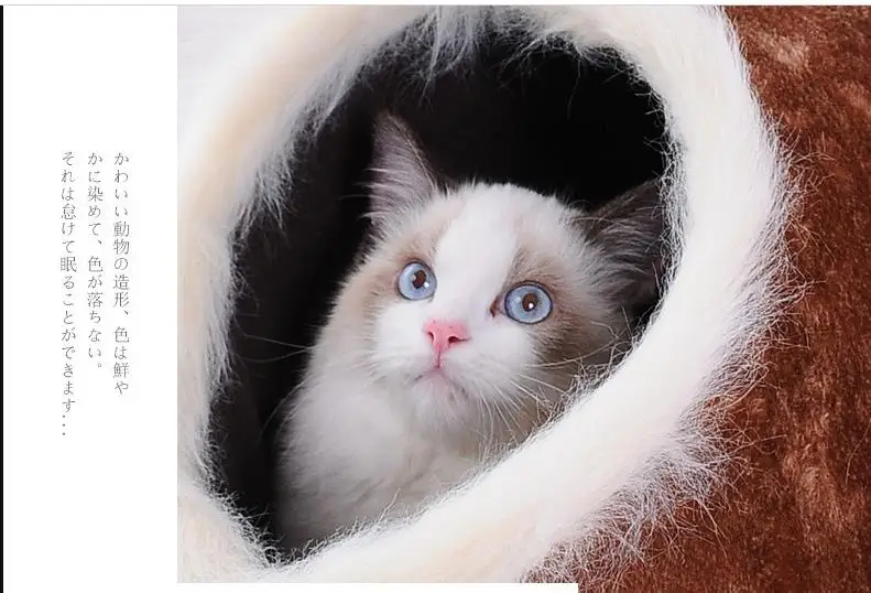 Кошка теплая пещера дом лук дизайн кошка зимний лежак дом плюс толстый бархат для маленький домик для собак для кошки