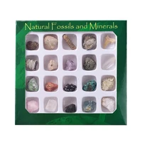 20pcsset original random crystals and stones healing minerals of natural stone fossils specimen polished gemstones animal shell