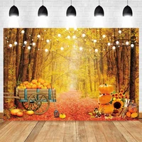 autumn forest fallen leaves pumpkin sunflower baby backdrop photography background photographic photophone photozone poster prop