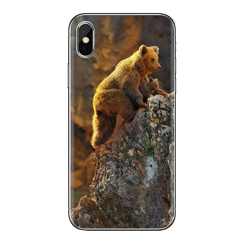 Transparent Soft Cases Covers Lonely Alaska Brown Bear For Samsung Galaxy J1 J2 J3 J4 J5 J6 J7 J8 Plus 2018 Prime 2015 2016 2017 |