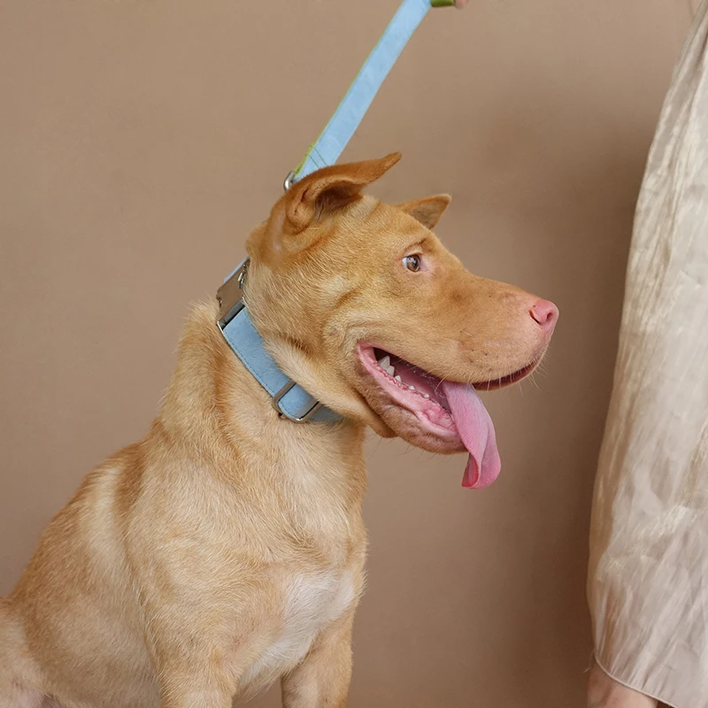 Ошейник MUTTCO 10 шт./лот оптовая продажа удобный самодельный ошейник с синим