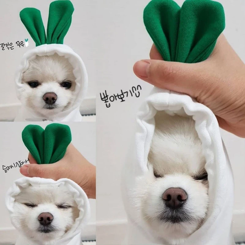 

Warm Dog Winter Clothes Cute Coat Hoodies Plush Pet Costume Jacket for French Bulldog Chihuahua Ropa Para Perro