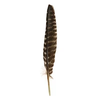 35cm size black turkey feather for white sage burn or home decoration