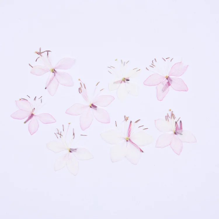 Цветы анютины глазки 2-4 см/16 шт. прессованный высушенный натуральные лепестки