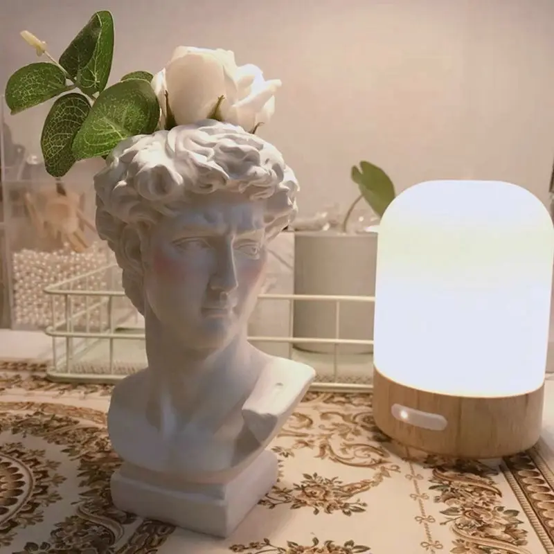 Силиконовая форма в виде головы Давида сделай сам для скульптуры человеческого