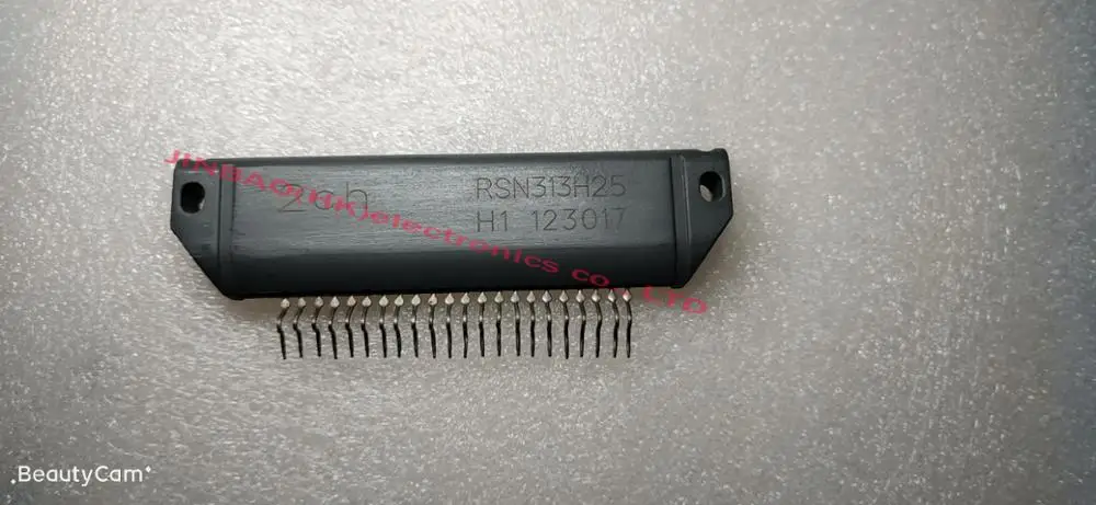 RSN313H25