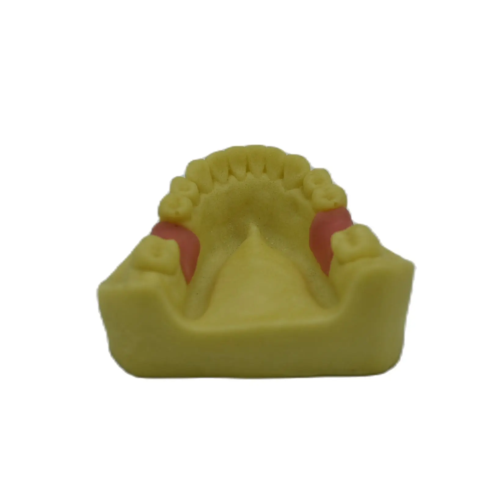 1 шт. Стоматологическая модель для имплантации зубов | Красота и здоровье