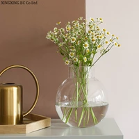 transparent glass vase decoration simple living room flower arrangement dried flower decoration creative hydroponic green