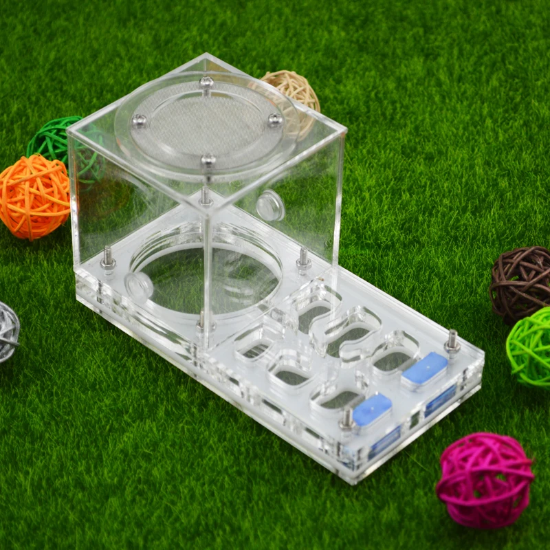 

Imitation Ecological Ant Nest Ant Breeding Nest Ant Moisturizing Nest Acrylic Ant Farm Unique Halloween Gifts
