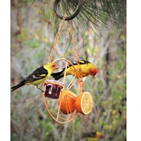 portable bird feeder home outdoor indoor hanging hanging glass cup for garden decor oriole finch
