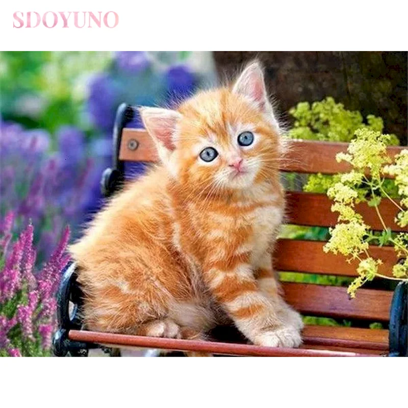 

SDOYUNO Painting By Numbers Cat Drawing On Canvas HandPainted Art Gift DIY Picture By Number Animal Kits Home Decoration