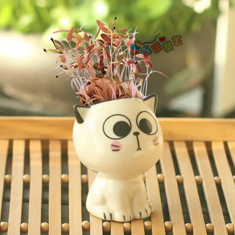 

Mini Cat Shaped Ceramic Flowerpot Cartoon Cute Hand Diy Desktop Potted Plant Desk Decorate Small Ornaments Pots for Plants