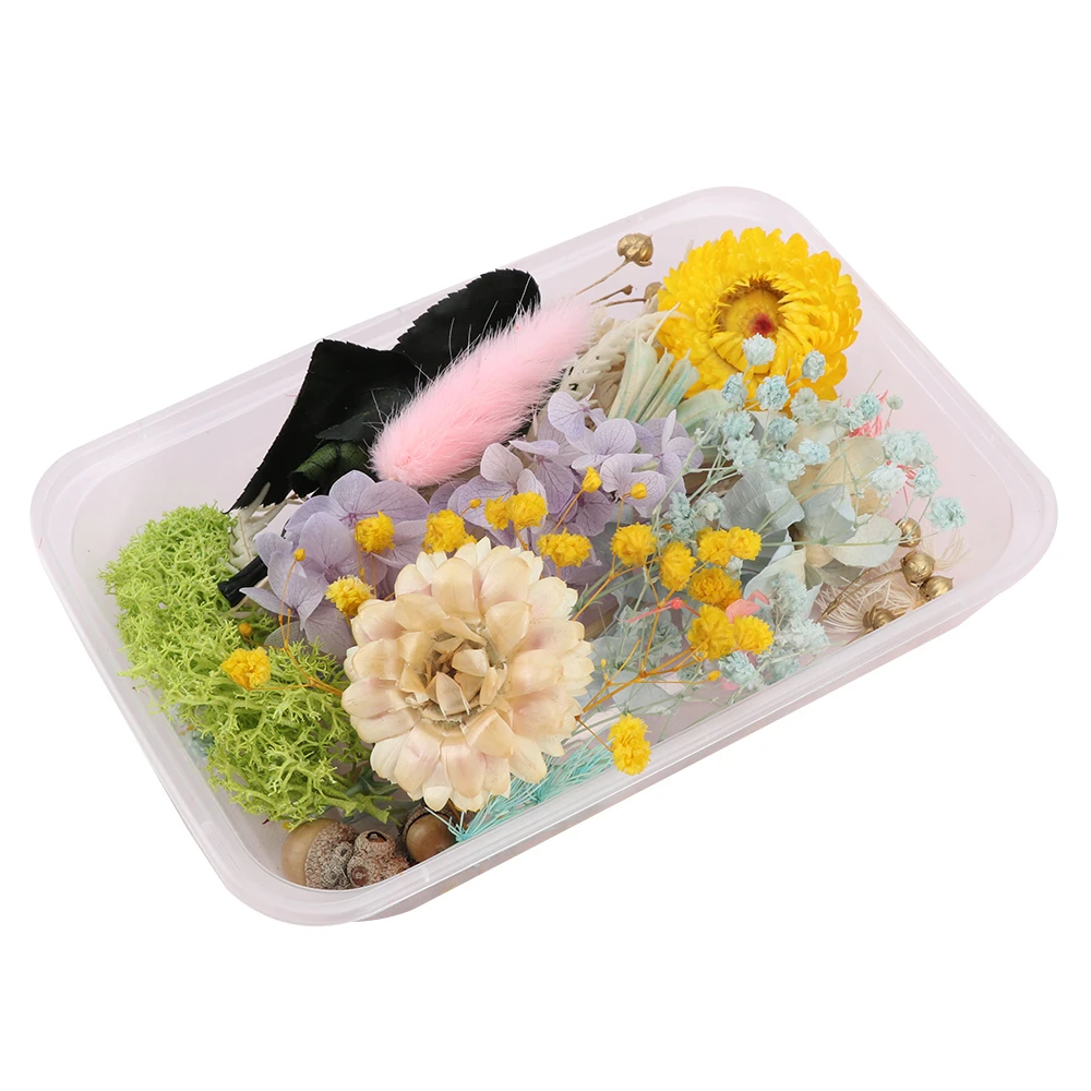 Dried Flower A Box Aromatherapy Floating Flowers Heads Making Craft DIY Greeting Cards Hand-Made Botanical Painting Decor | Дом и сад