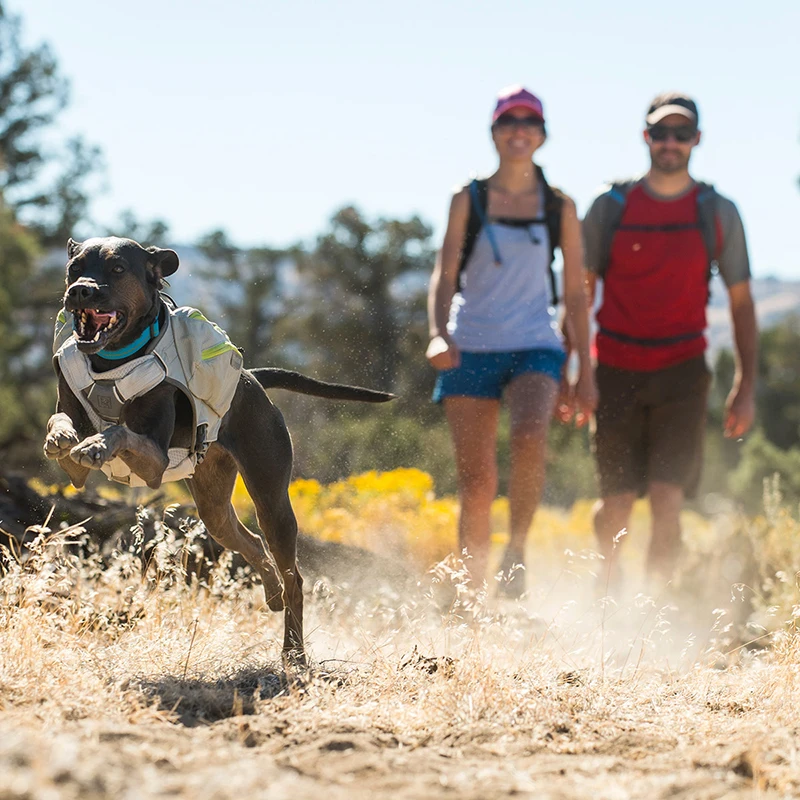 

RUFFWEAR Core Cooler Stay Cool Web Master Harness Master Pro Harness Approach Pack Palisades Pack and Singletrak Pack